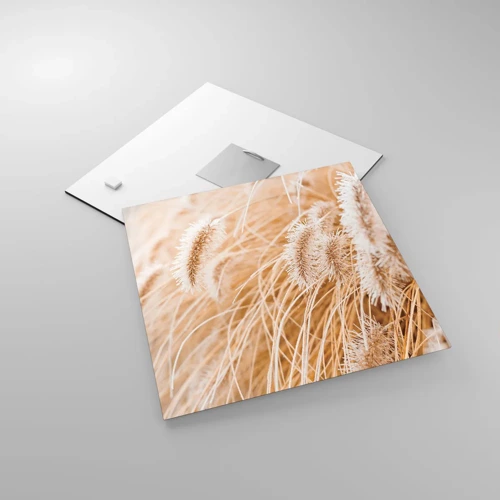 Obraz na skle - Zlaté šustění travin - 30x30 cm