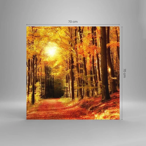 Obraz na skle - Zlatý podzim na lesní cestě - 70x70 cm