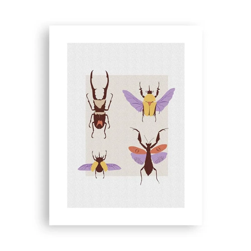 Plakát - Hmyzí svět - 30x40 cm