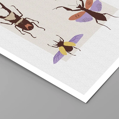 Plakát - Hmyzí svět - 30x40 cm