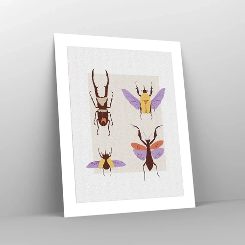 Plakát - Hmyzí svět - 40x50 cm
