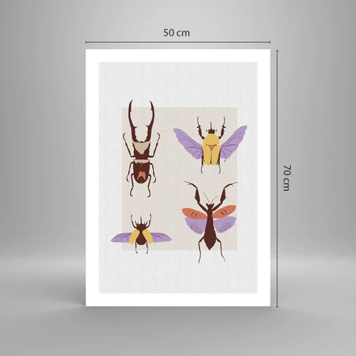 Plakát - Hmyzí svět - 50x70 cm