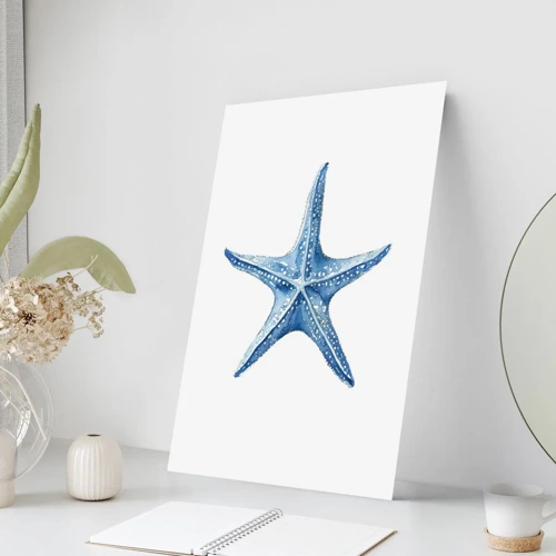 Plakát - Hvězda moře - 70x100 cm
