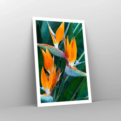Plakát - Je to květina, nebo pták? - 61x91 cm