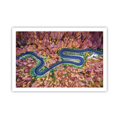 Plakát - Klikatá cesta lesem - 91x61 cm