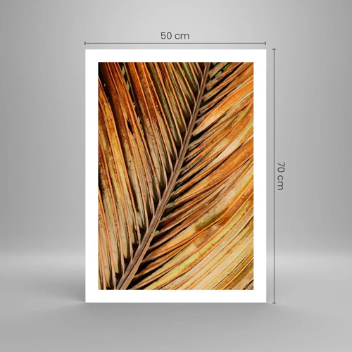 Plakát - Kokosové zlato - 50x70 cm
