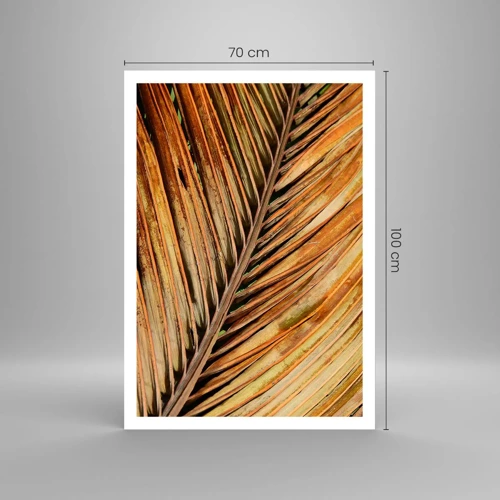 Plakát - Kokosové zlato - 70x100 cm