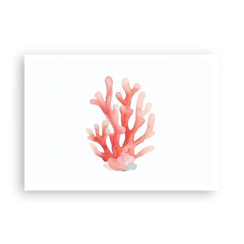 Plakát - Korálový korál - 100x70 cm