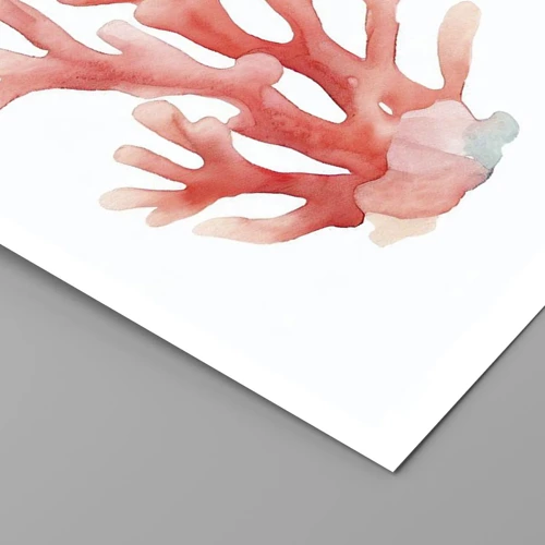 Plakát - Korálový korál - 100x70 cm