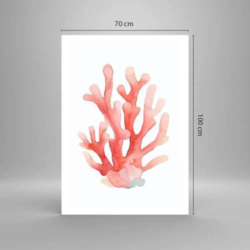 Plakát - Korálový korál - 70x100 cm