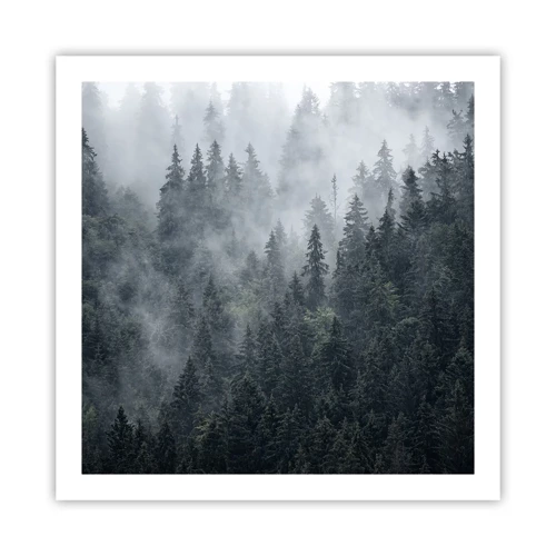 Plakát - Lesní svítání - 60x60 cm