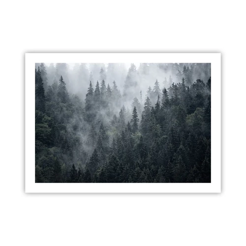 Plakát - Lesní svítání - 70x50 cm