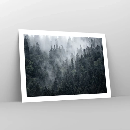 Plakát - Lesní svítání - 70x50 cm