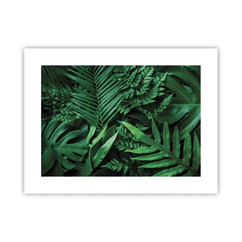 Plakát - Objaté v zeleni - 40x30 cm