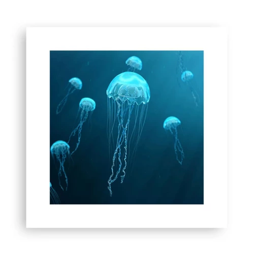 Plakát - Oceánský tanec - 30x30 cm