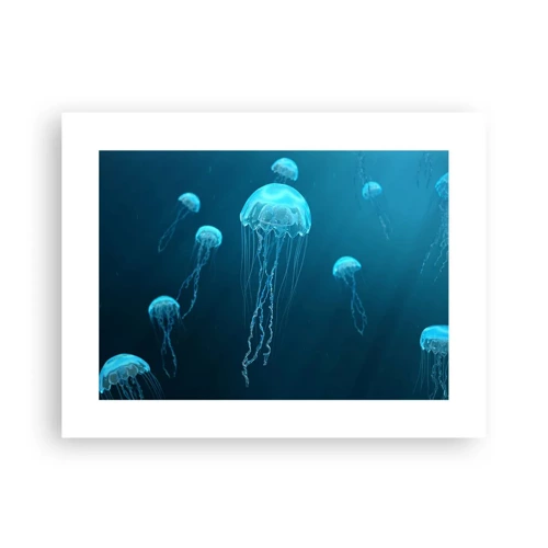 Plakát - Oceánský tanec - 40x30 cm