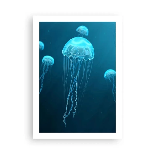 Plakát - Oceánský tanec - 50x70 cm