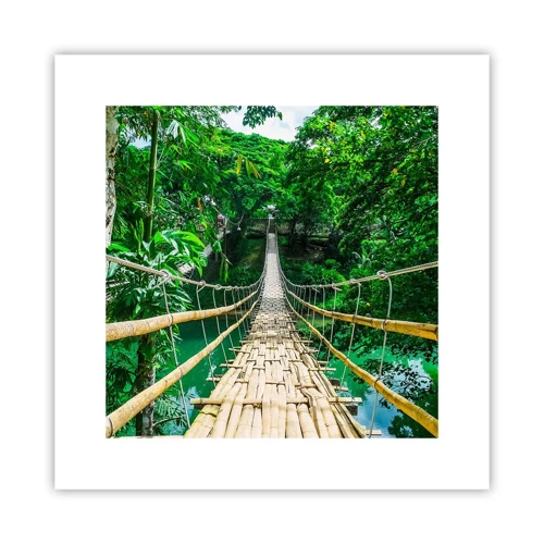 Plakát - Opičí most nad zelení - 30x30 cm