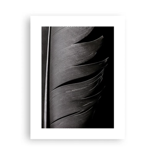 Plakát - Peří – nádherná konstrukce - 30x40 cm