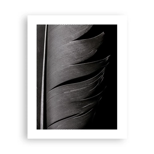 Plakát - Peří – nádherná konstrukce - 40x50 cm