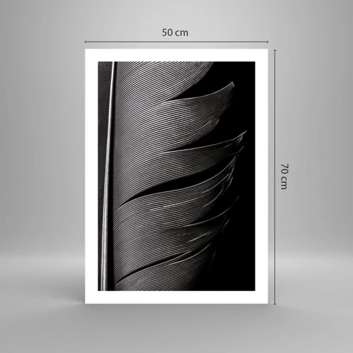 Plakát - Peří – nádherná konstrukce - 50x70 cm