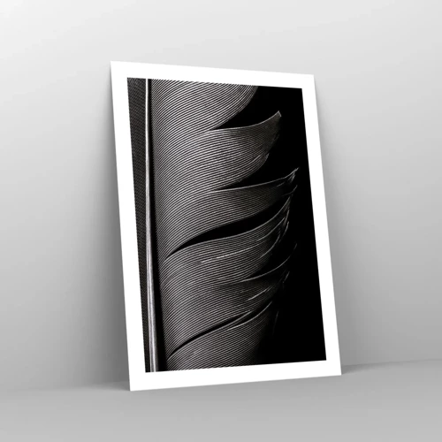 Plakát - Peří – nádherná konstrukce - 50x70 cm