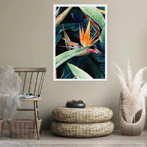 Plakát - Plamenné květy tropů - 40x50 cm