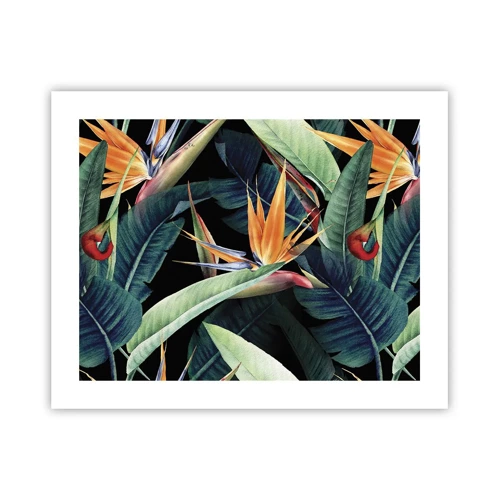 Plakát - Plamenné květy tropů - 50x40 cm