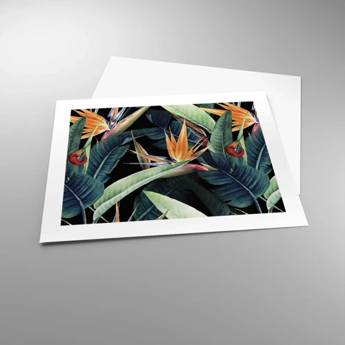 Plakát - Plamenné květy tropů - 50x40 cm