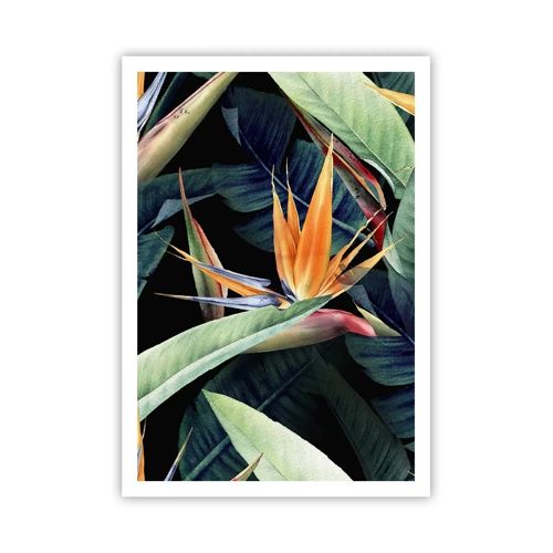 Plakát - Plamenné květy tropů - 70x100 cm