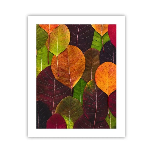 Plakát - Podzimní mozaika - 40x50 cm