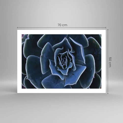 Plakát - Pouštní květ - 70x50 cm
