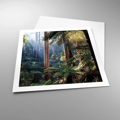 Plakát - Povídka lesa - 60x60 cm