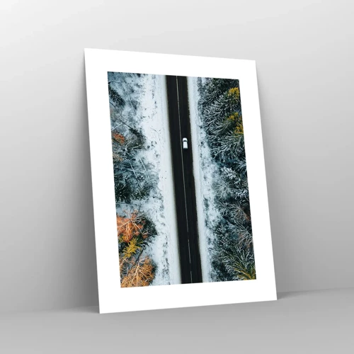 Plakát - Přes zimní les - 30x40 cm
