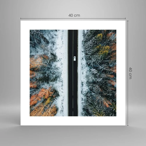 Plakát - Přes zimní les - 40x40 cm