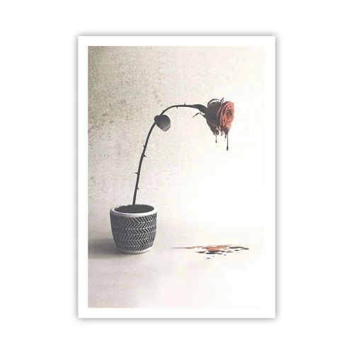 Plakát - Rosa dolorosa - 70x100 cm