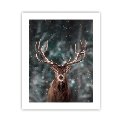 Plakát - Skutečný král lesa - 40x50 cm