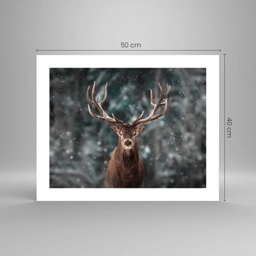 Plakát - Skutečný král lesa - 50x40 cm