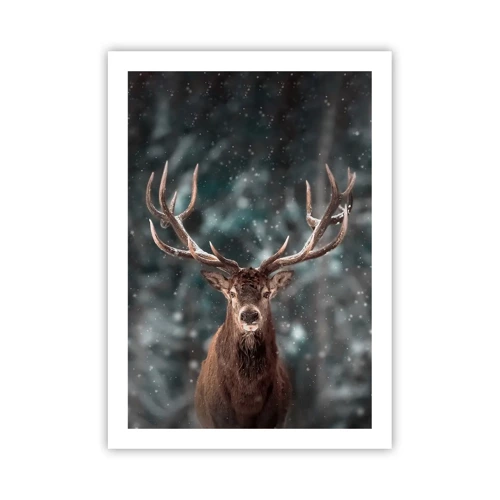 Plakát - Skutečný král lesa - 50x70 cm