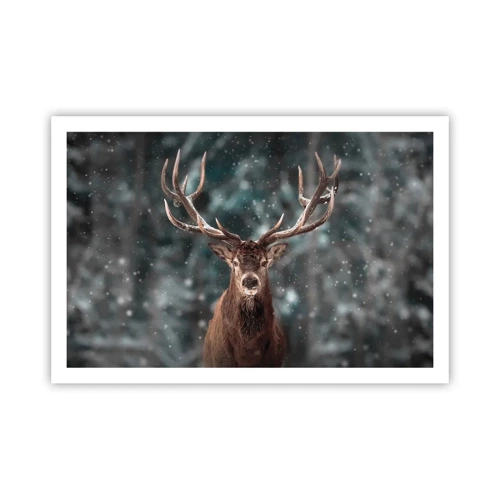 Plakát - Skutečný král lesa - 91x61 cm