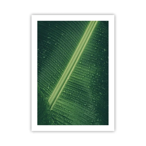 Plakát - Struktura zelené - 50x70 cm