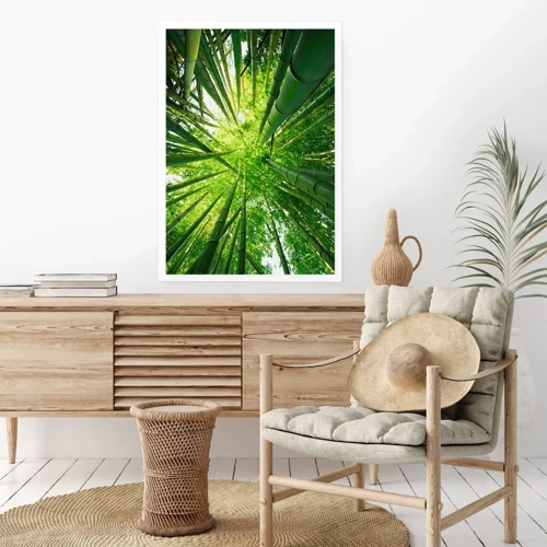 Plakát - V bambusovém háji - 30x40 cm