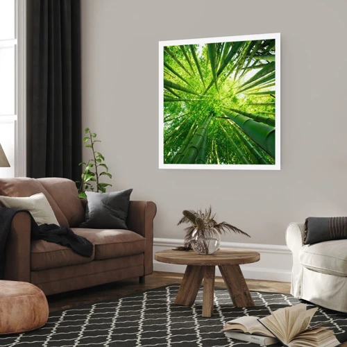 Plakát - V bambusovém háji - 50x50 cm