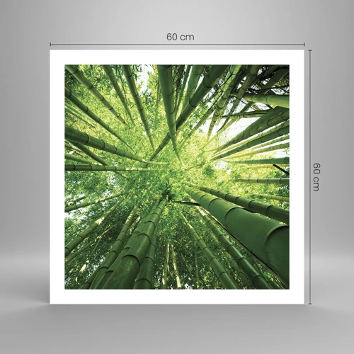 Plakát - V bambusovém háji - 60x60 cm