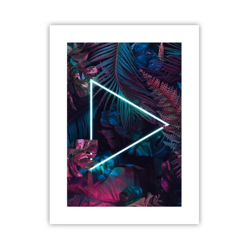 Plakát - Zahrada v disco stylu - 30x40 cm