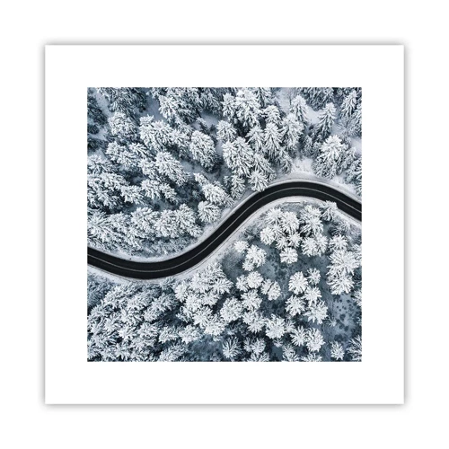 Plakát - Zimním lesem - 30x30 cm