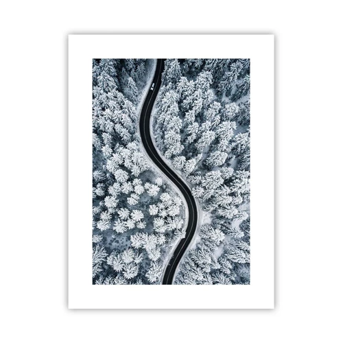 Plakát - Zimním lesem - 30x40 cm