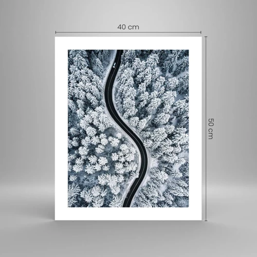Plakát - Zimním lesem - 40x50 cm