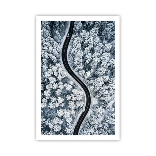 Plakát - Zimním lesem - 61x91 cm