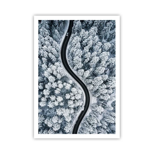Plakát - Zimním lesem - 70x100 cm